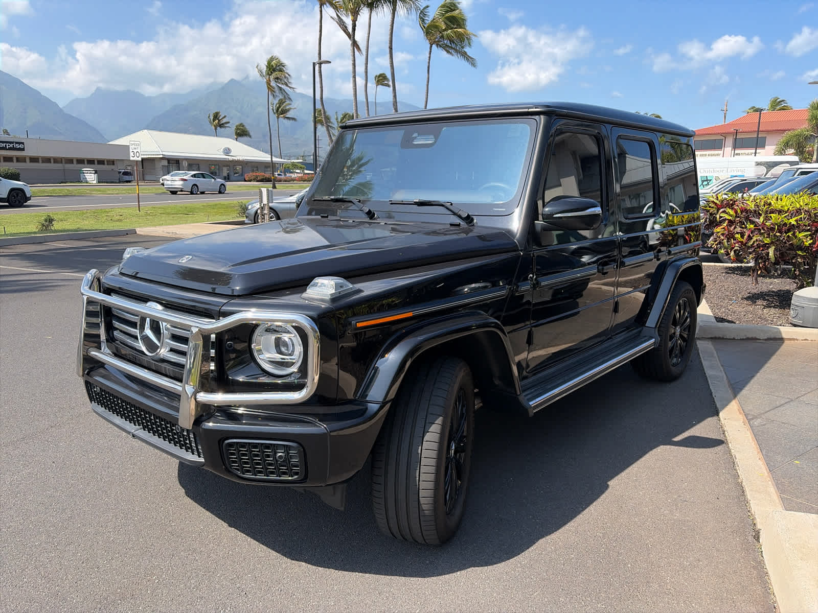 2025 Mercedes-Benz G-Class G 550