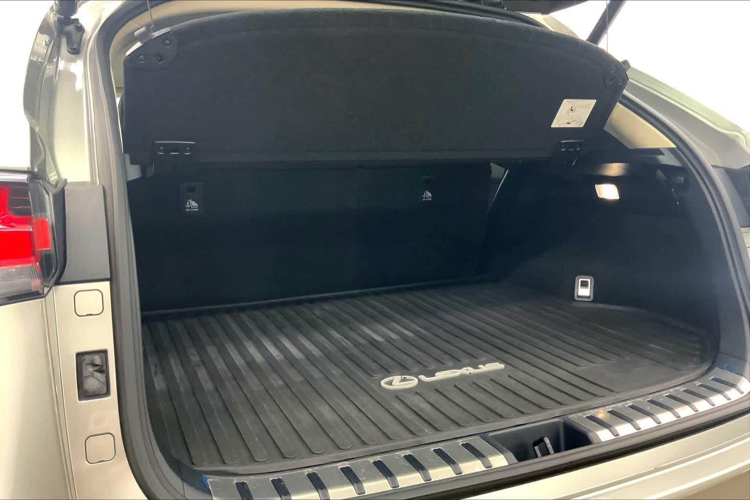 2020 Lexus NX 300 NX 300