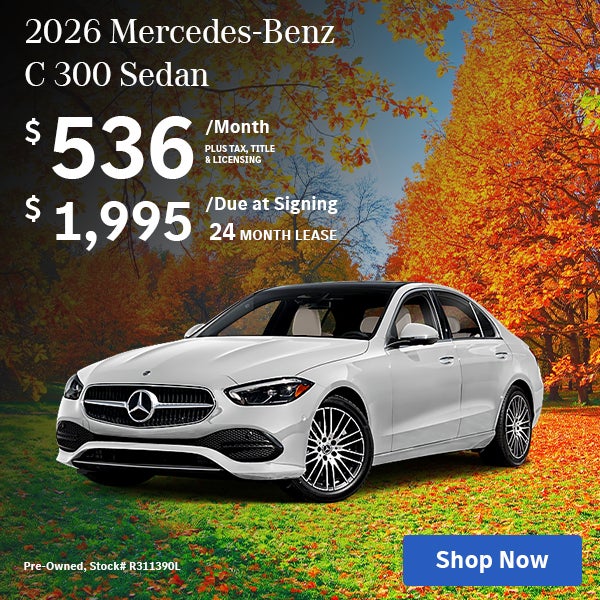 C 300