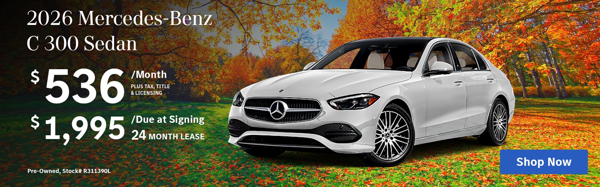 C 300