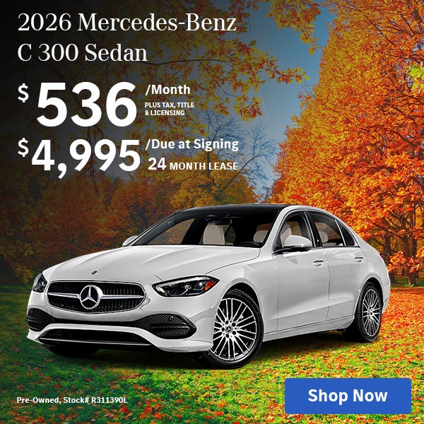 C 300