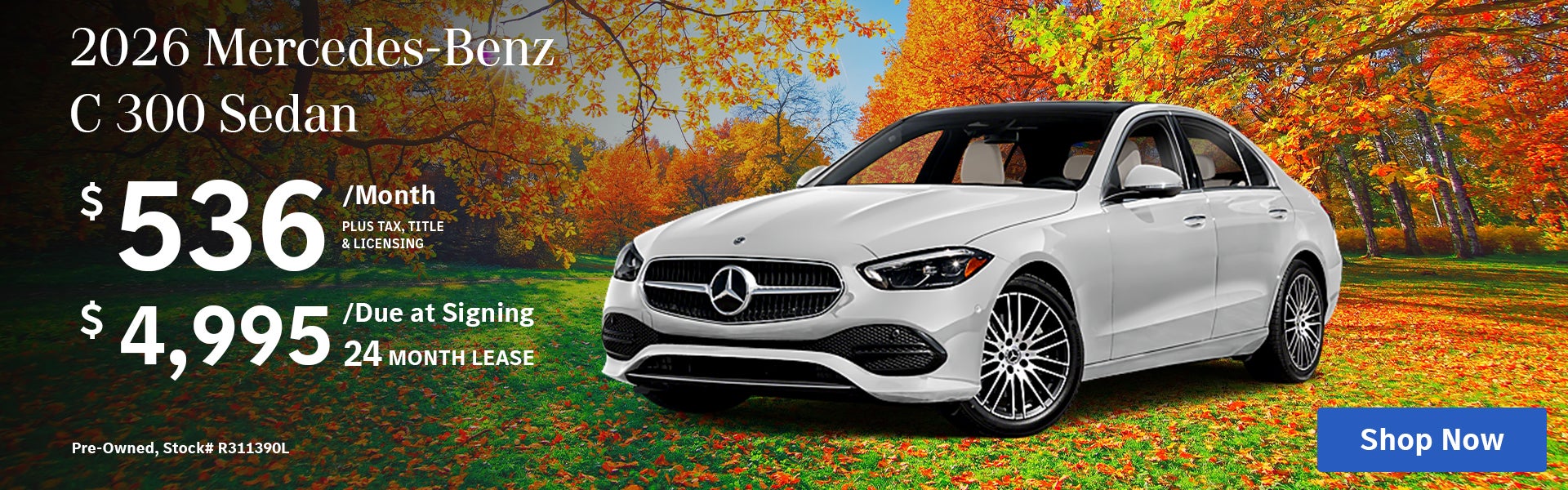 C 300