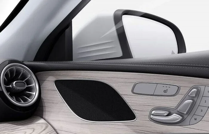 CLS door interior detail